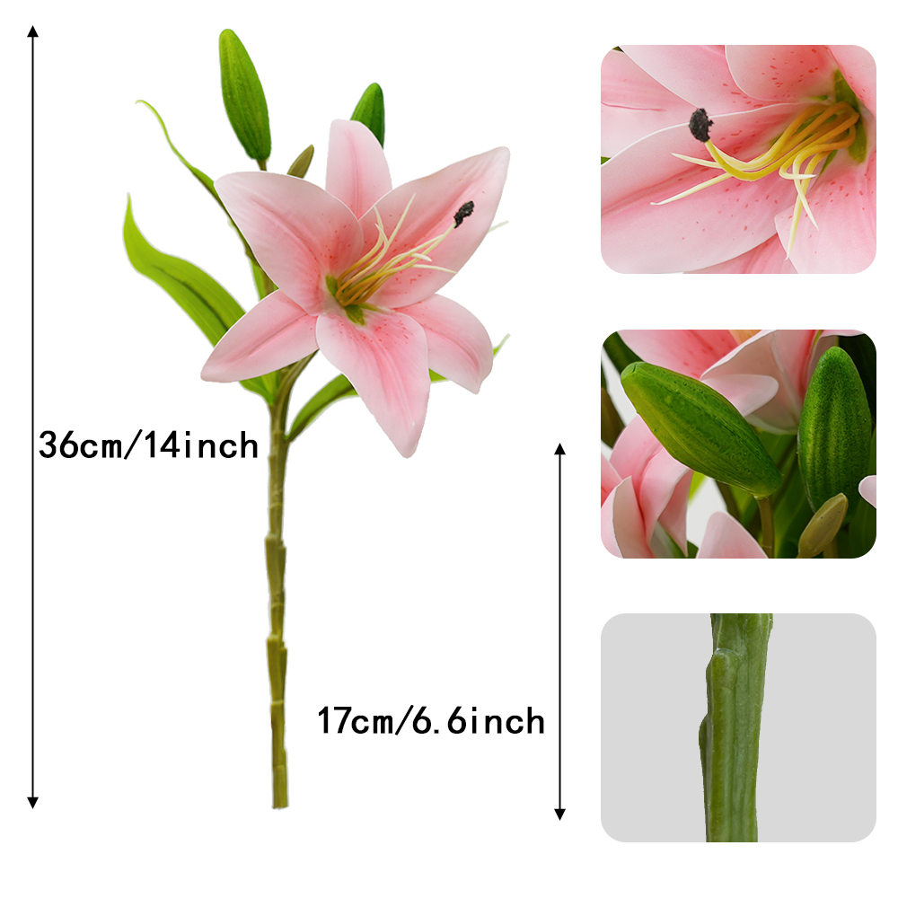 1Heads Branches Lily