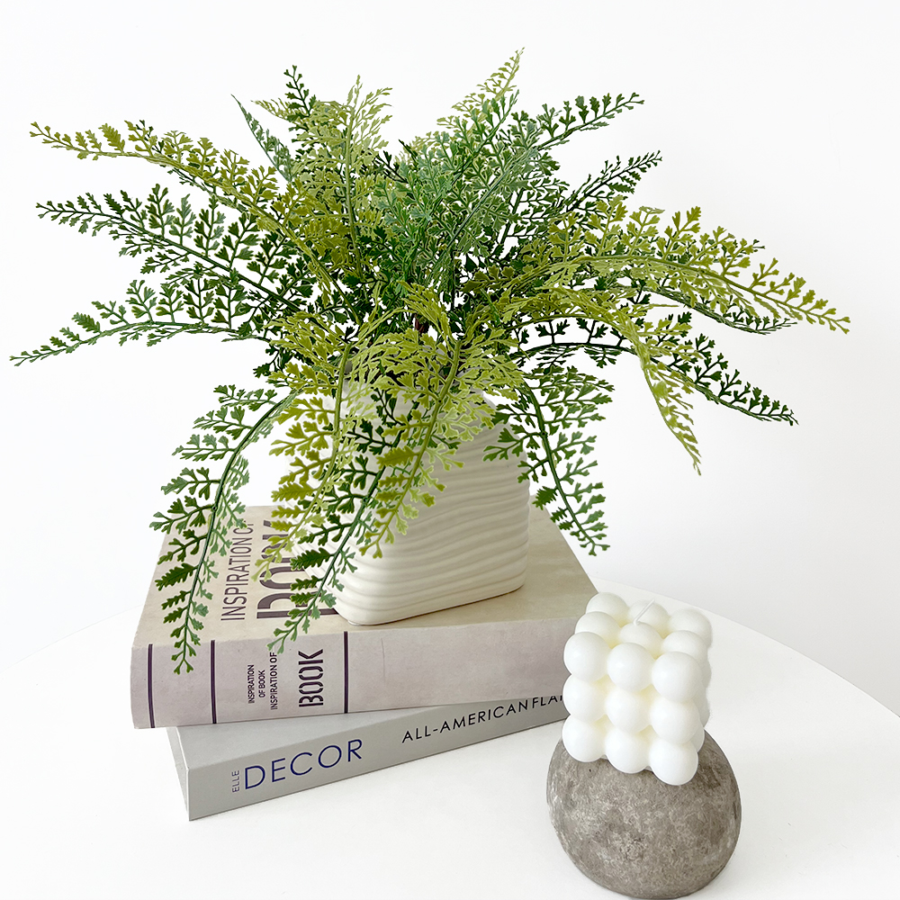 6 Adiantum aquatic