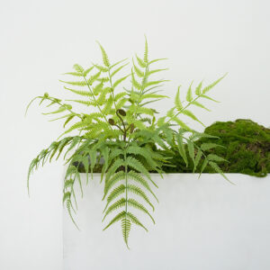 Artificial ferns