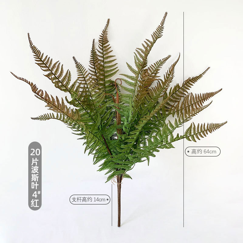 Persian Fern Leaves