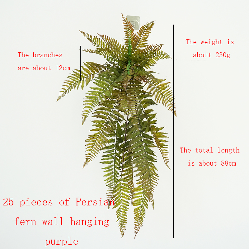 Persian fern