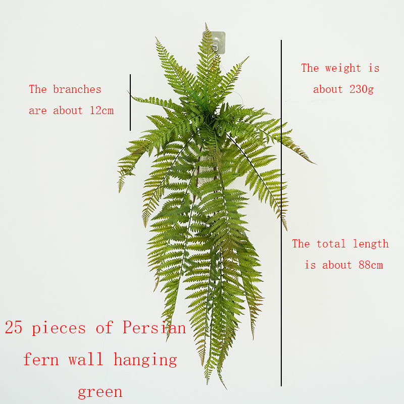 Persian fern