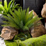 Artificial Boston Fern
