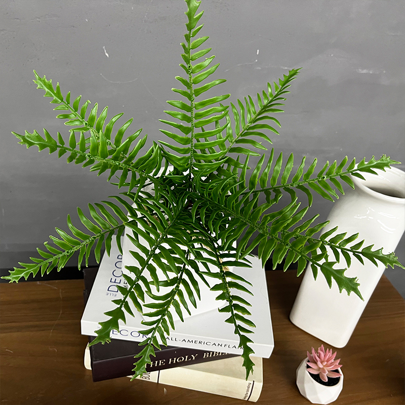 IMG_2123-1 Artificial Fern