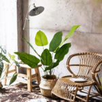 Artificial lily leaves