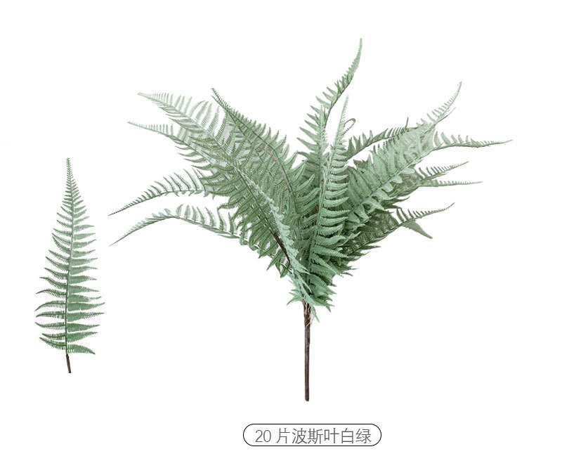 Persian Fern Leaves