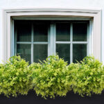 Artificial plants fern