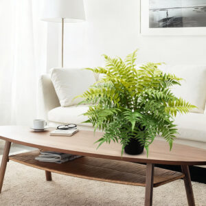 Artificial Pteris leaves