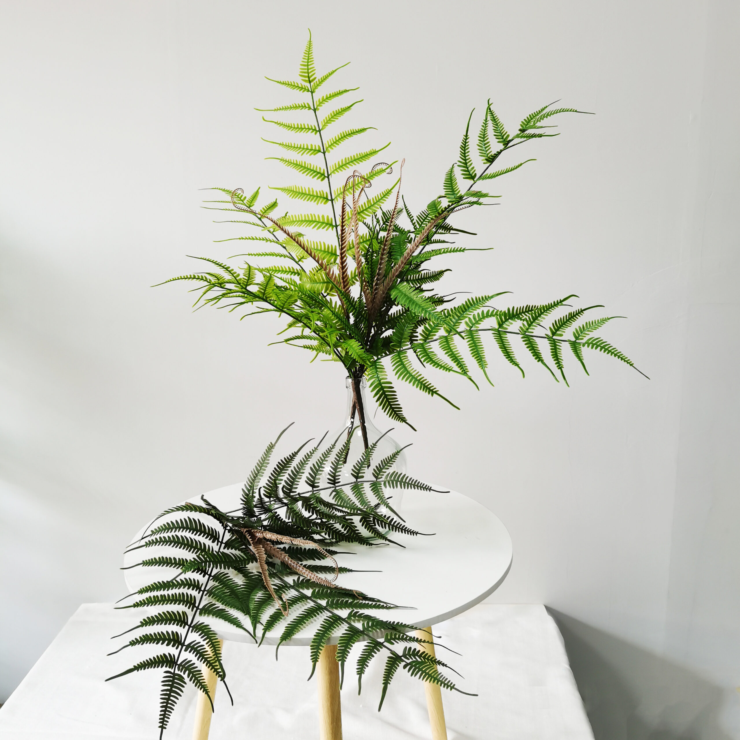 golden monkey head fern