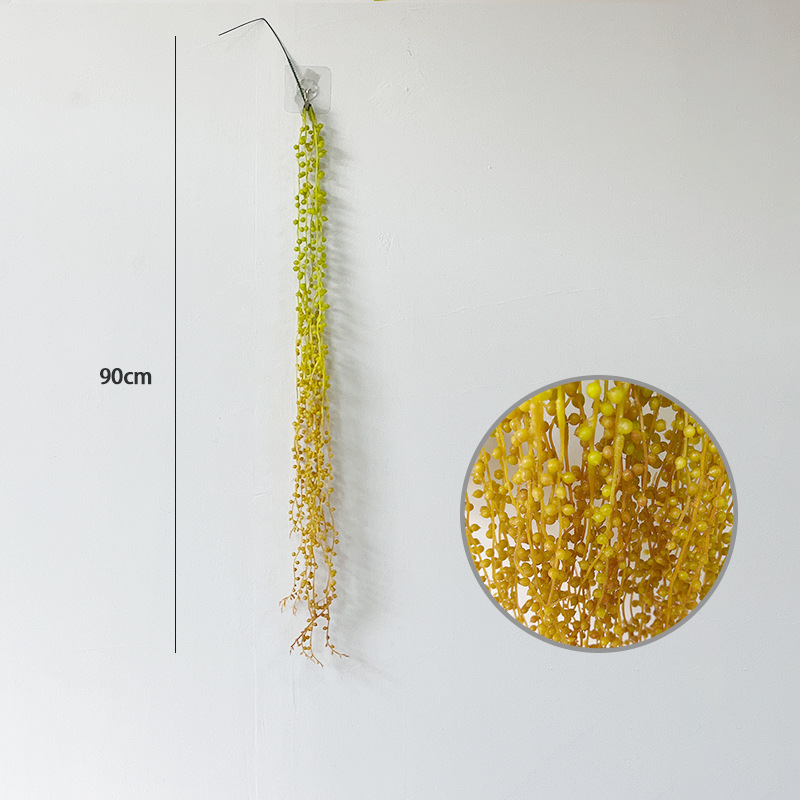 Lover Tears Succulents