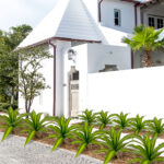 Artificial Brazilian