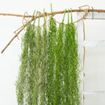 Artificial hanging vines