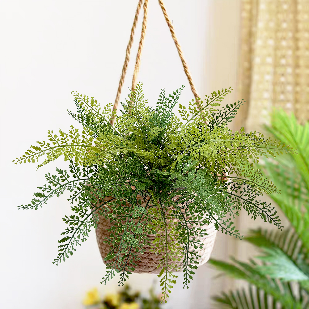 6 Adiantum aquatic
