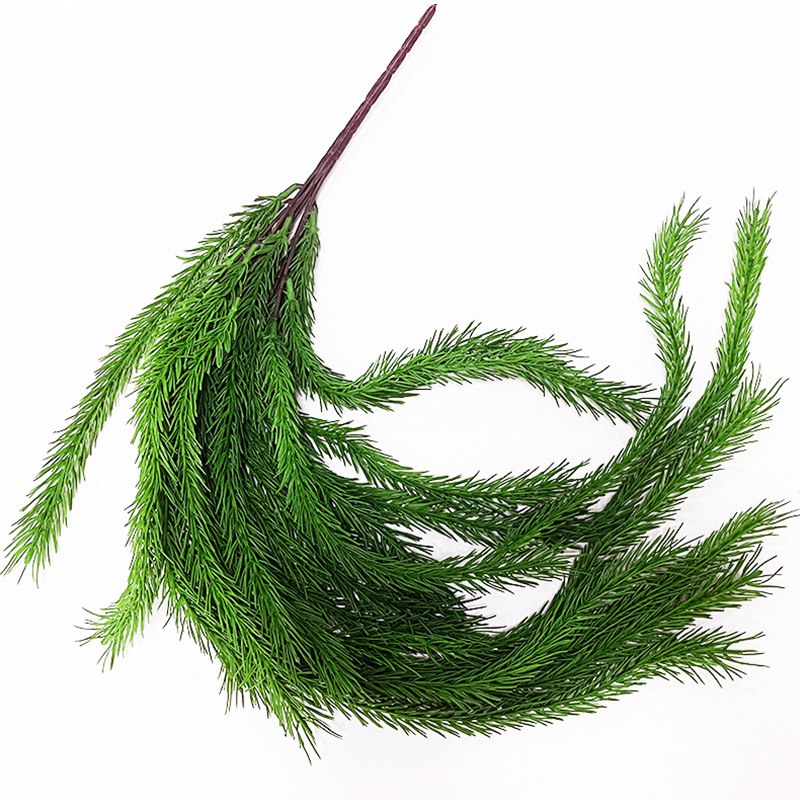 Wolf Tail Fern