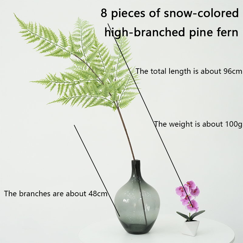 Simulated Ferns