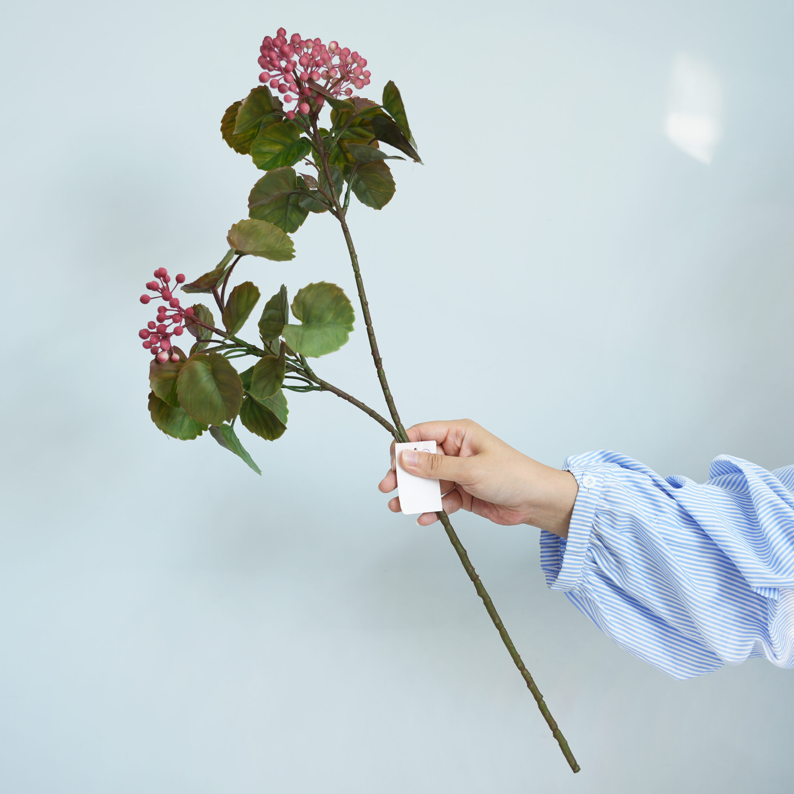 imitation Apple leaf