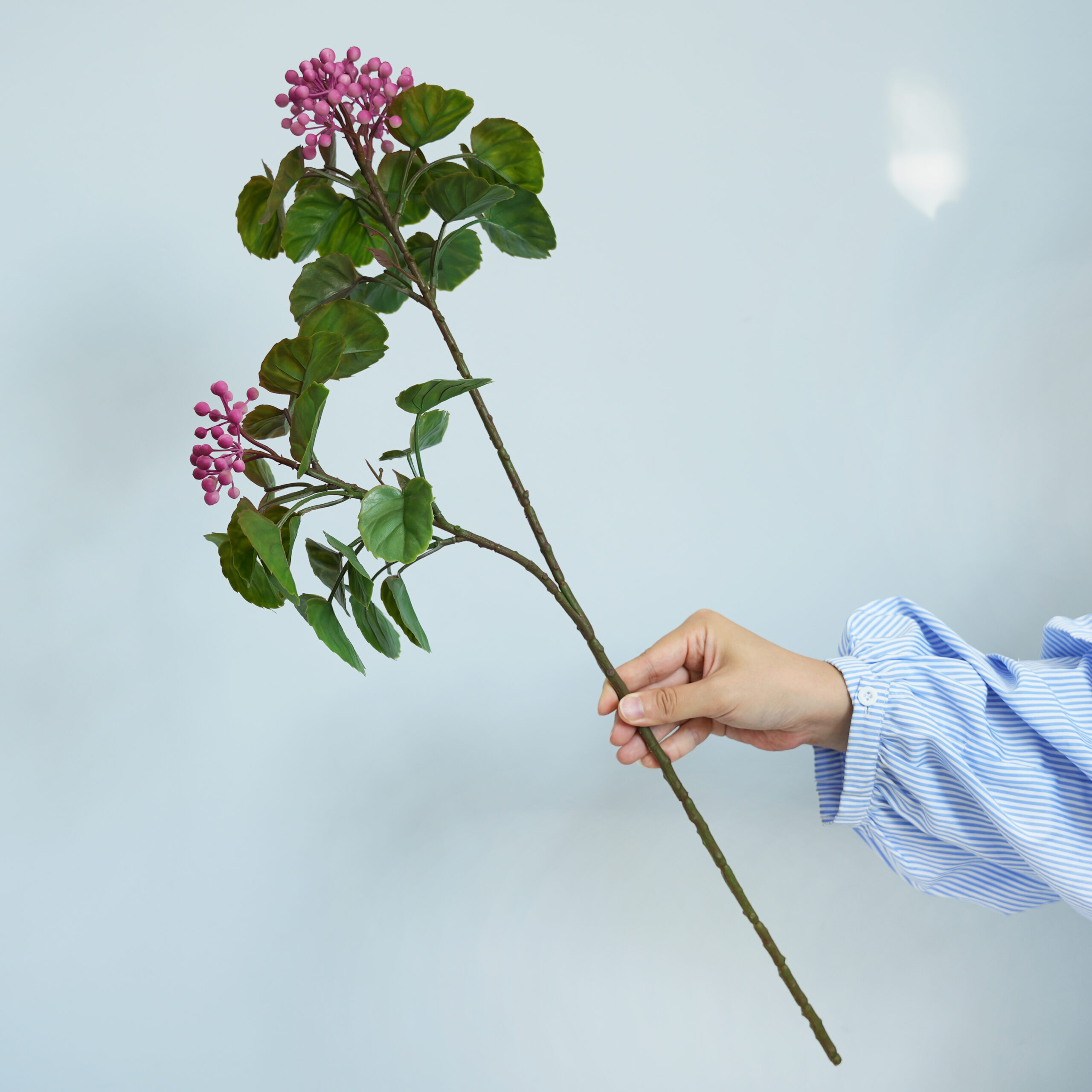 imitation Apple leaf