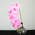 Artificial Butterfly Orchid