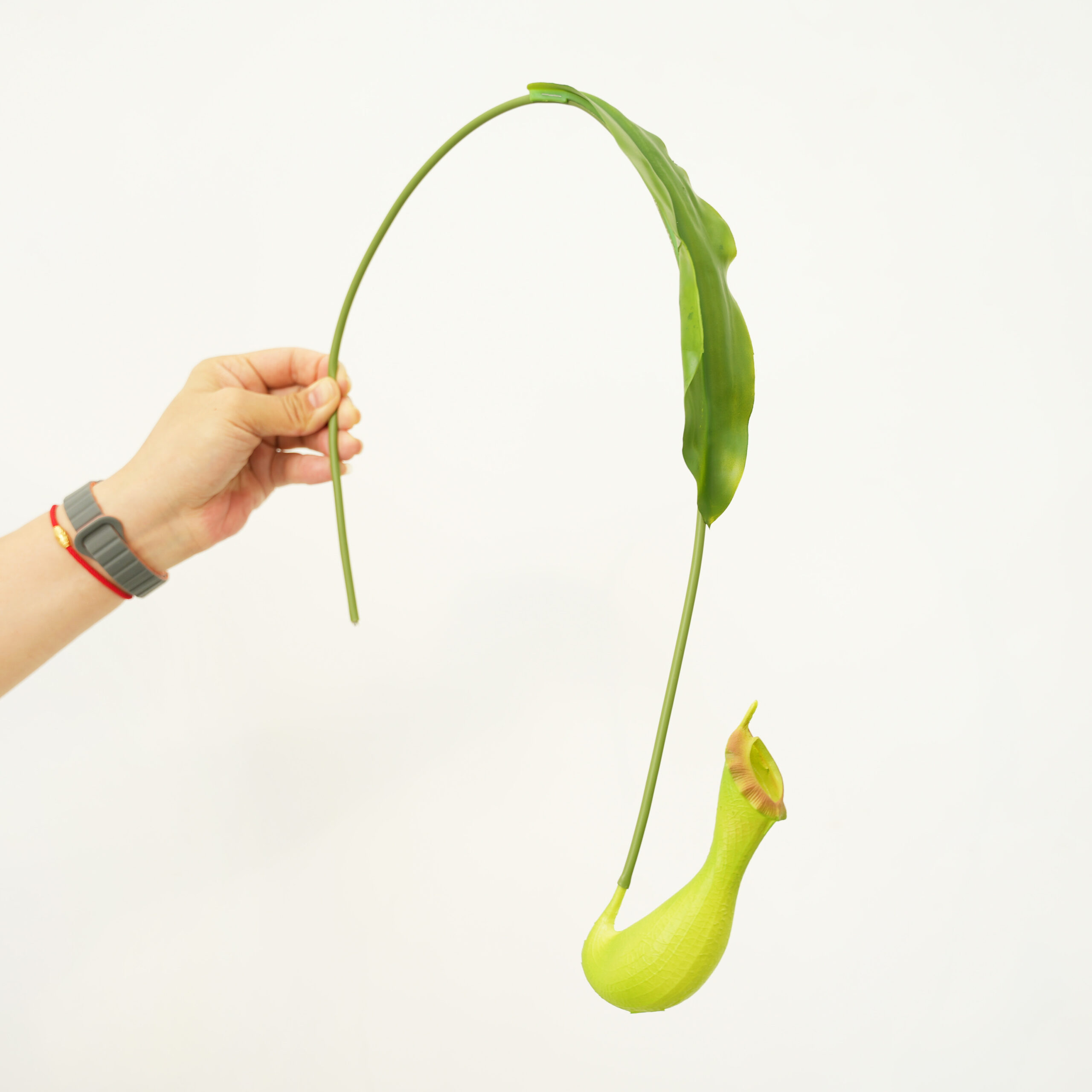  Artificial Pitcher Plants