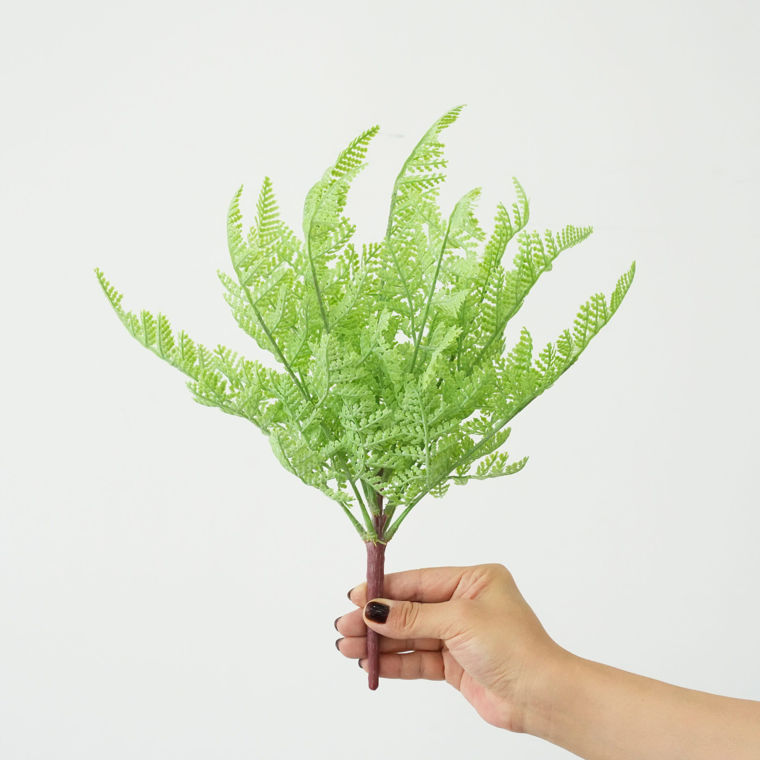 Artificial Fern