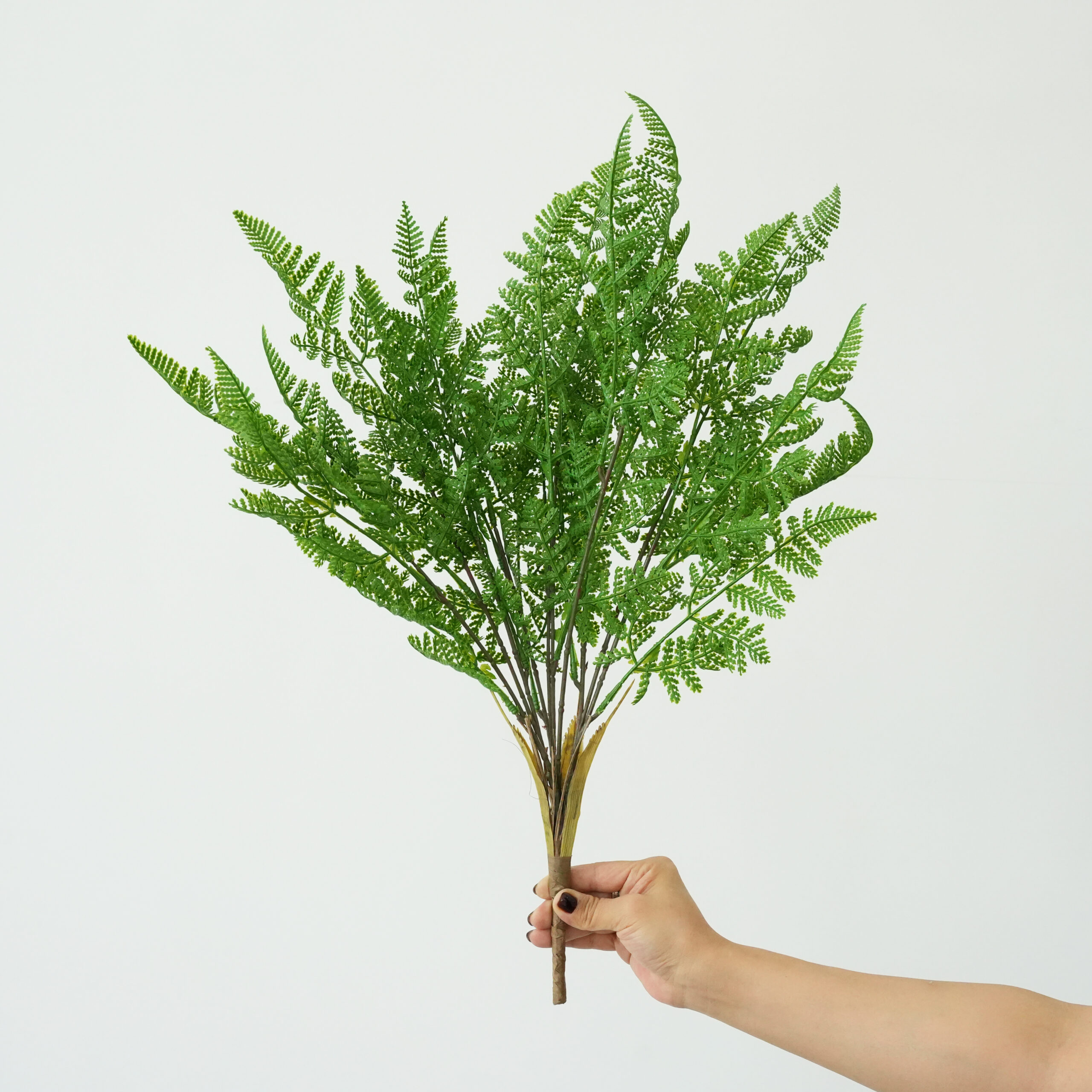 Artificial Fern