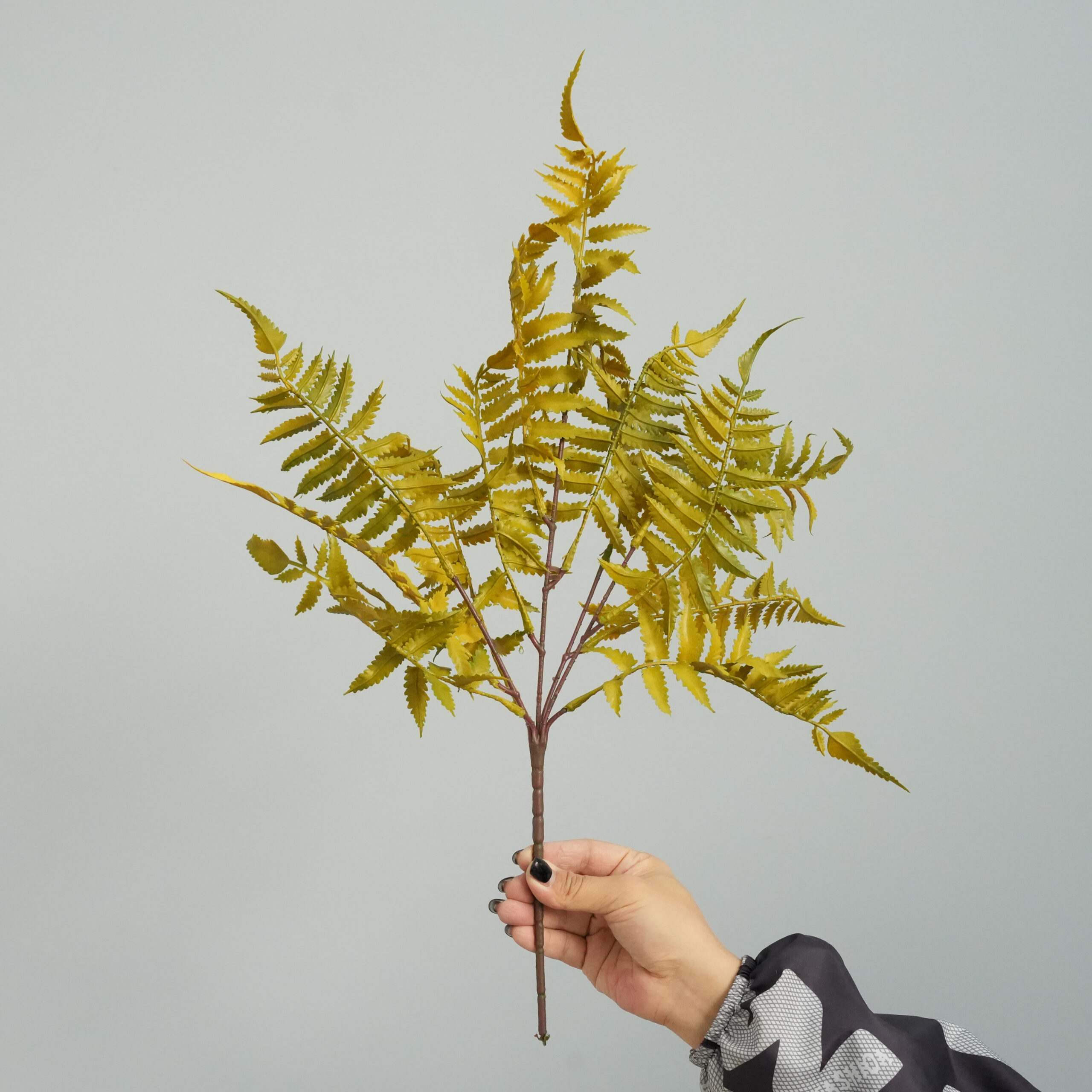 Artificial fern colorful