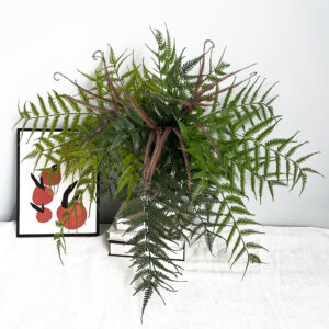 green golden monkey fern