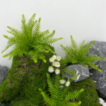 Artificial Persian Ferns