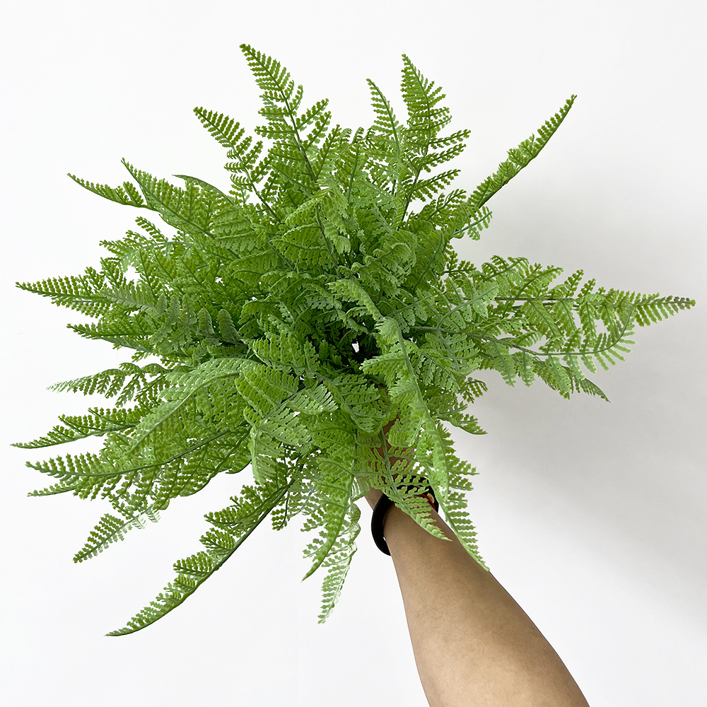 场景3 Simulation Fern Grass