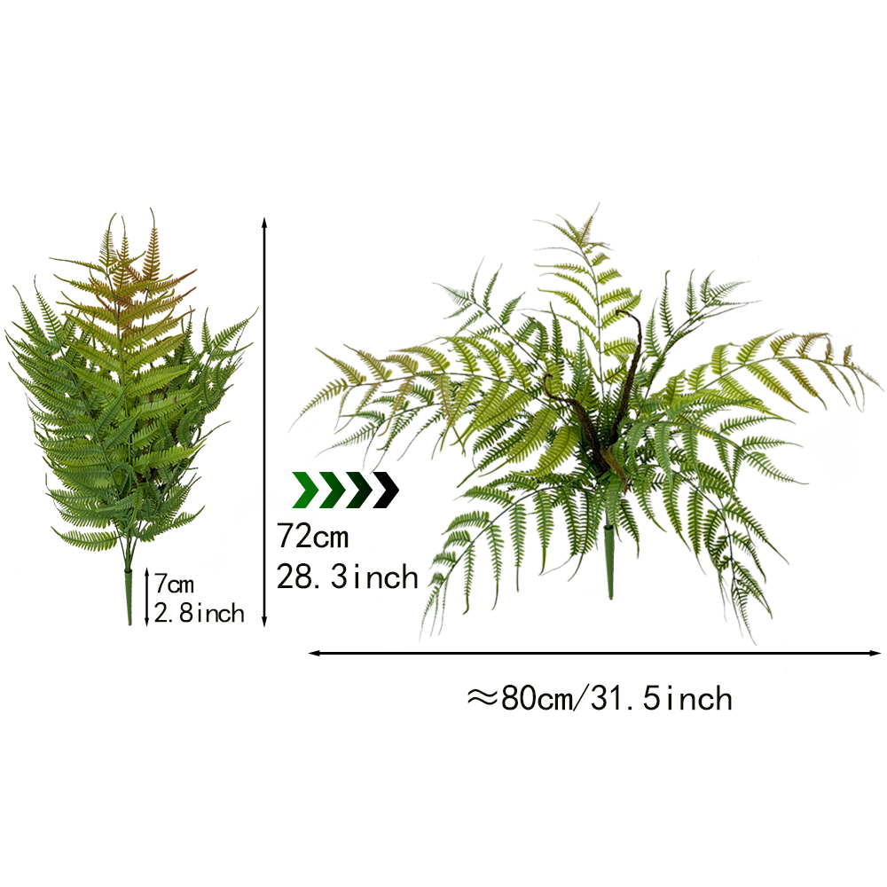 monkey fern leaf