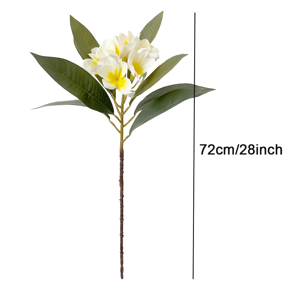 Simulation Frangipani Bouquets