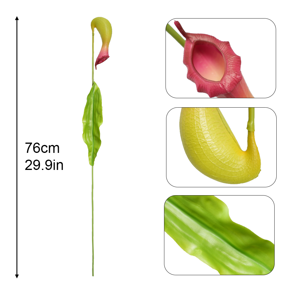  Artificial Pitcher Plants