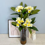 Simulation Frangipani Bouquets