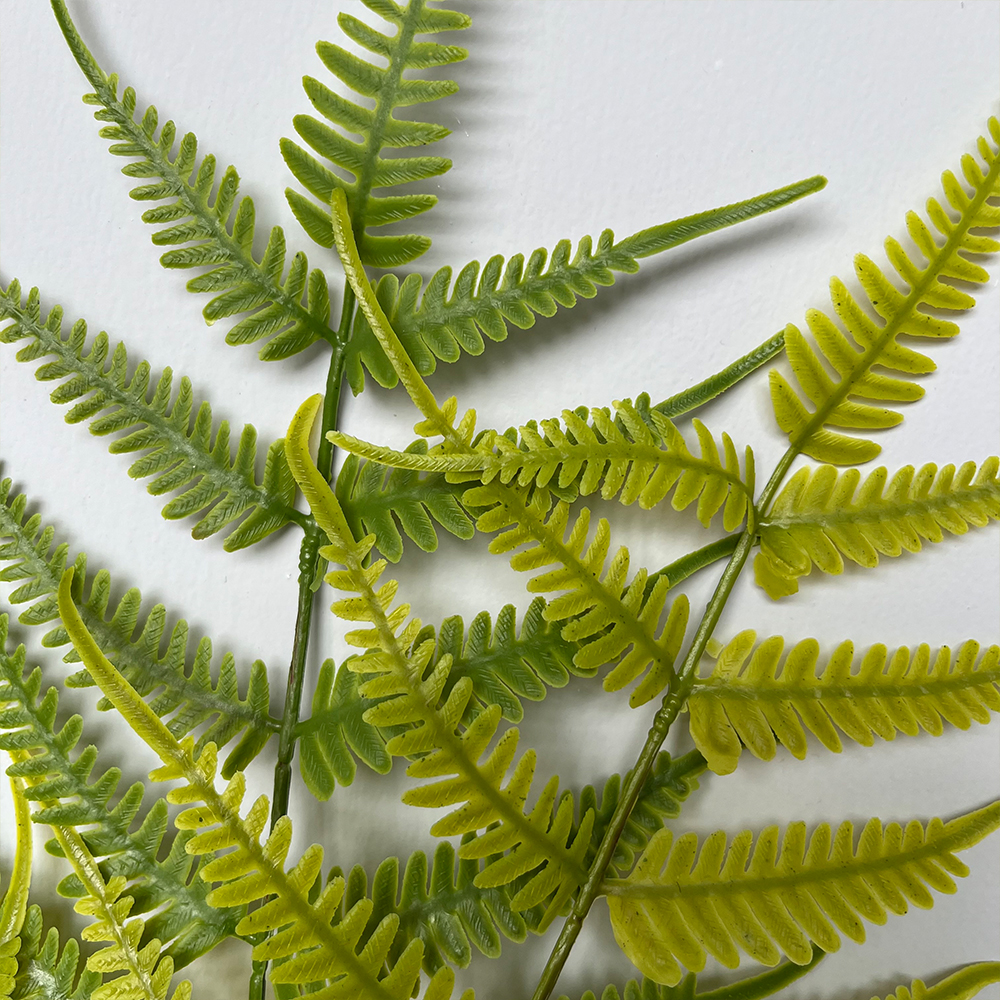 场景3 Artificial fern