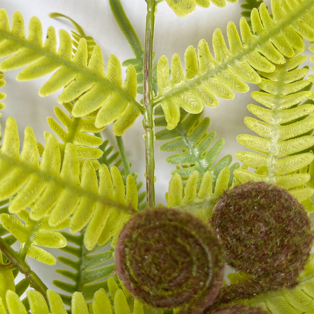 场景3 Artificial fern