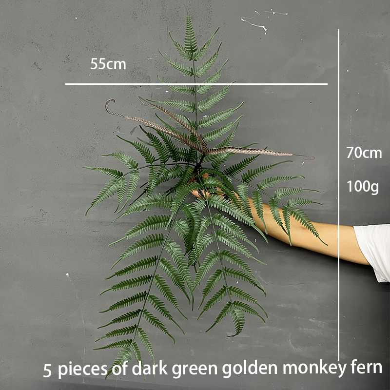 golden monkey head fern