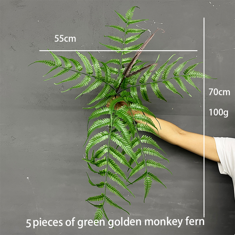 golden monkey head fern
