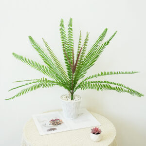 Artificial Fern