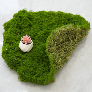 Articiaifl moss