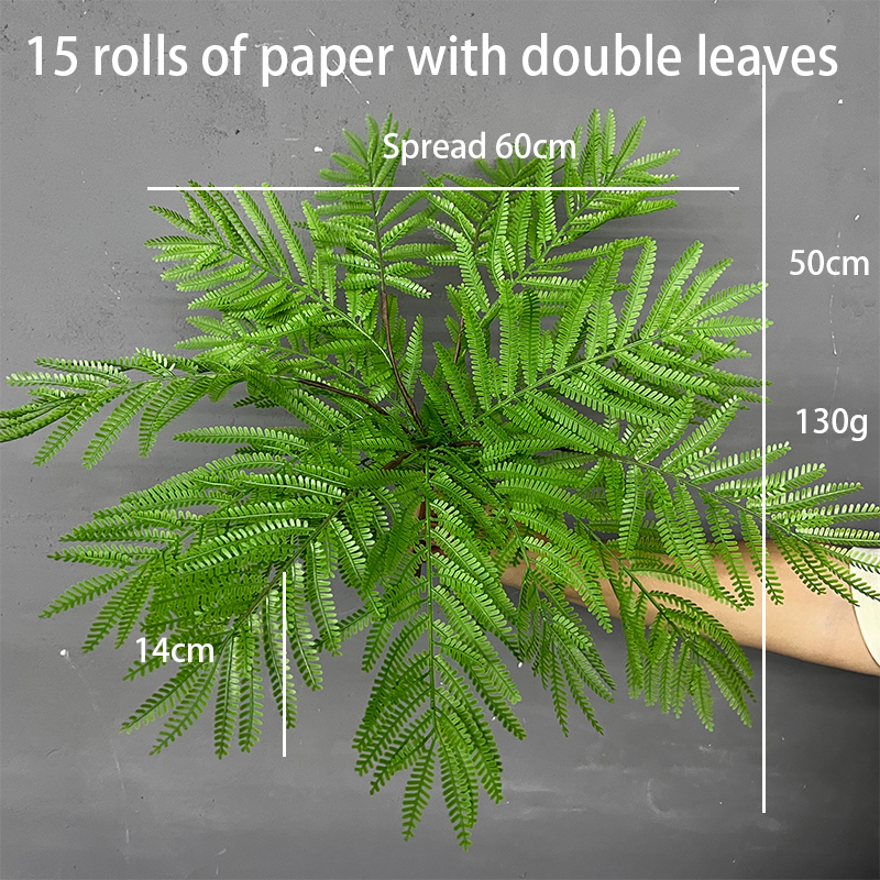 Simulation Fern Leaf