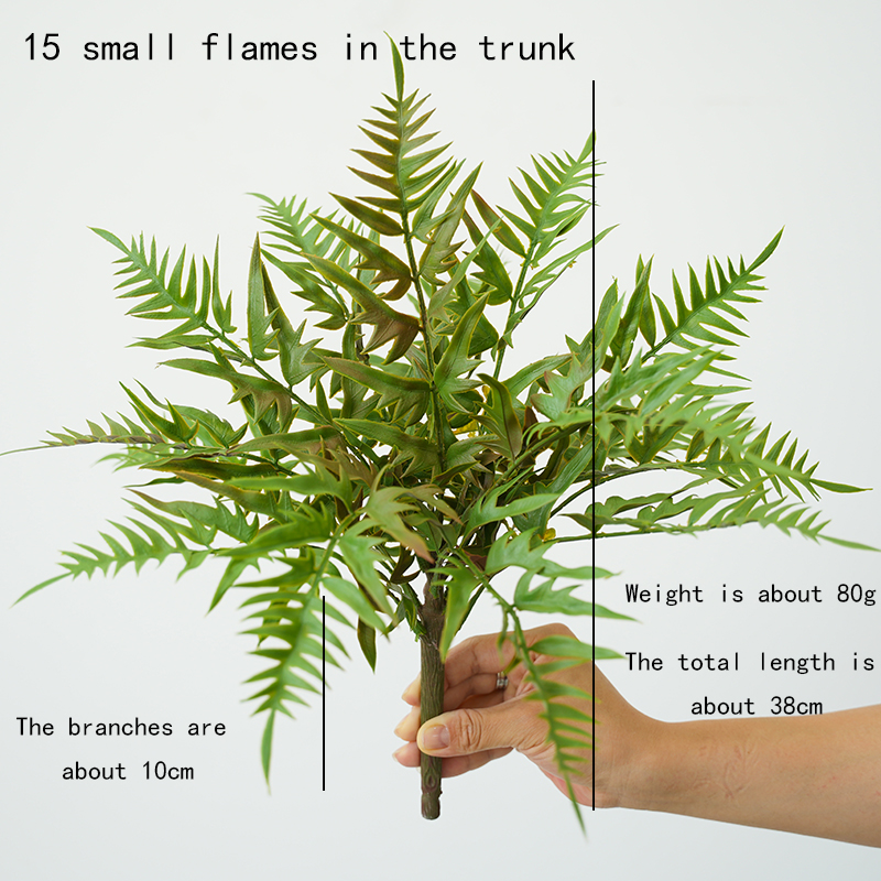 Simulation Fern Leaf