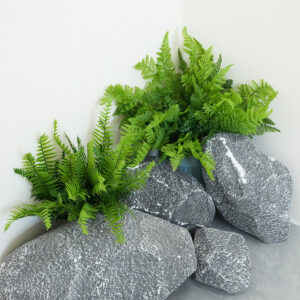 Artificial Fern