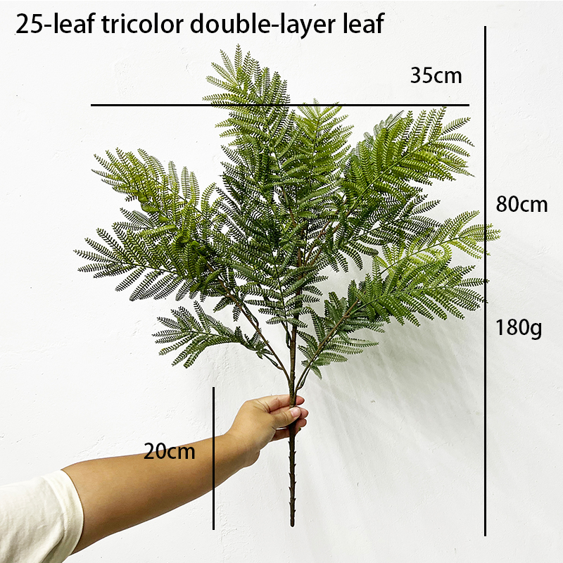 Simulation Fern Leaf