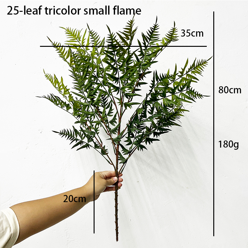 Simulation Fern Leaf