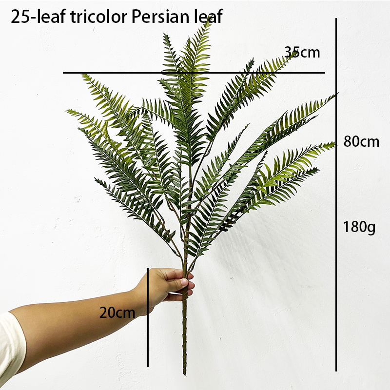 Simulation Fern Leaf