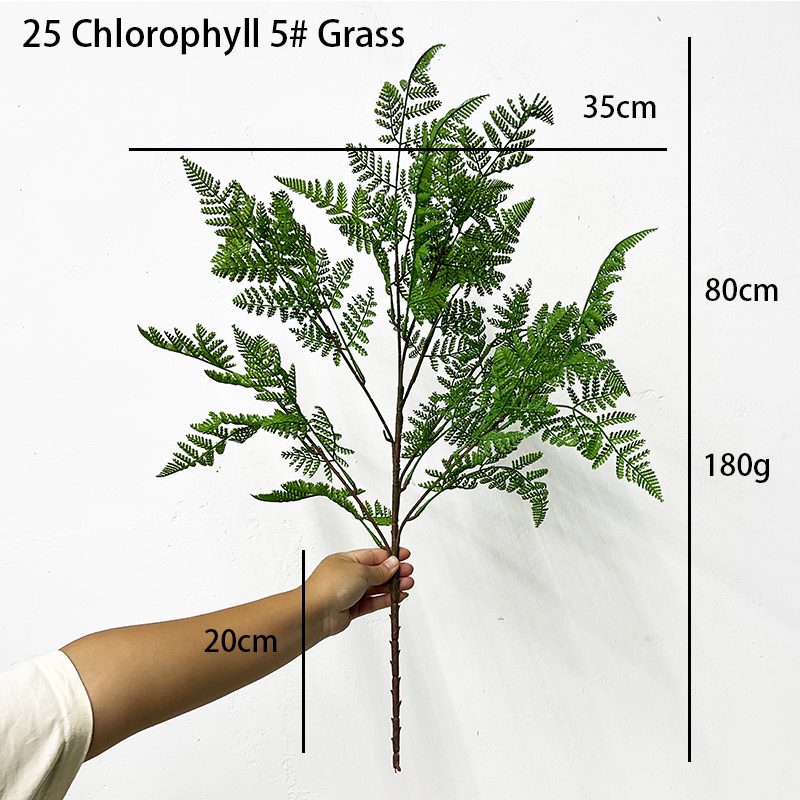 Simulation Fern Leaf