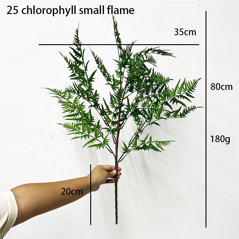 Simulation Fern Leaf