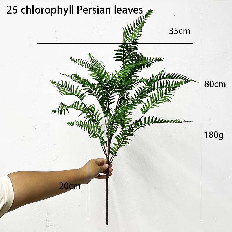 Simulation Fern Leaf