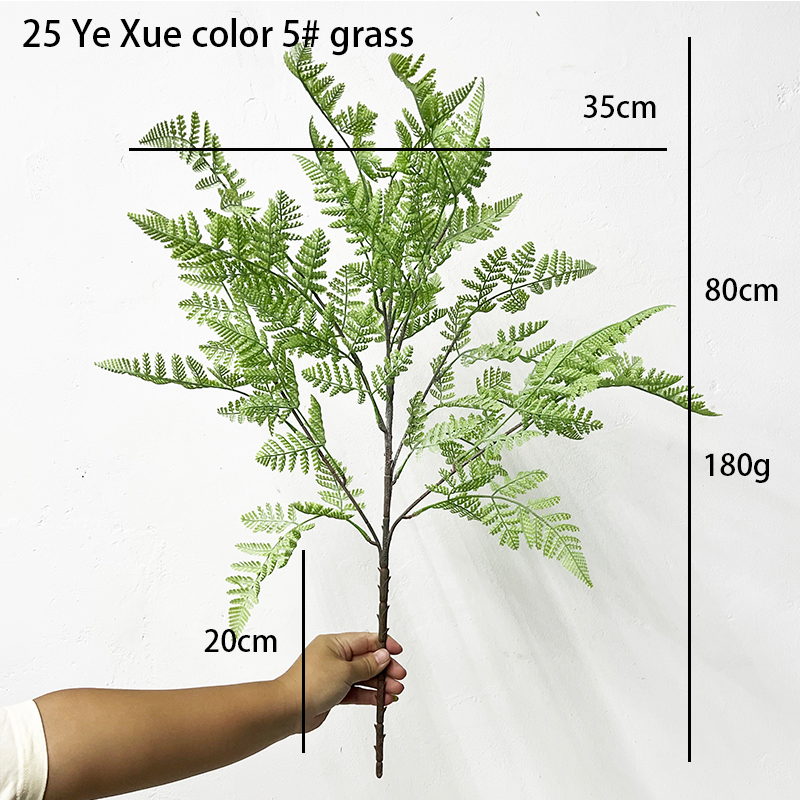 Simulation Fern Leaf