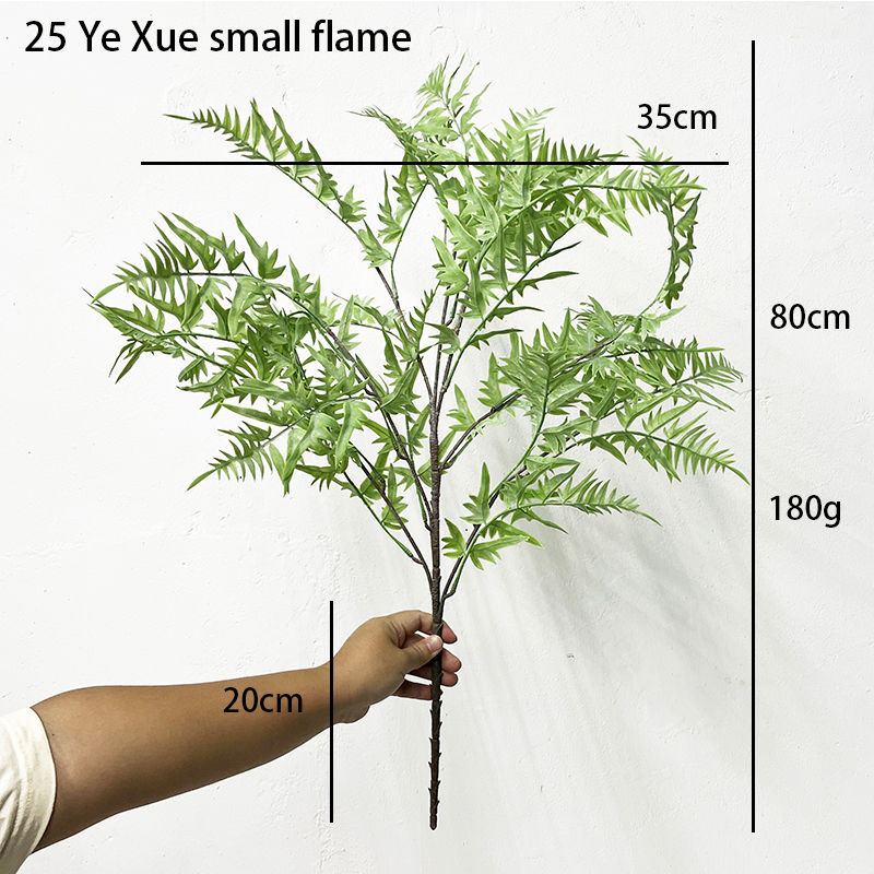 Simulation Fern Leaf